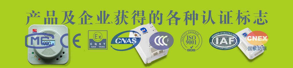 邁思通固定式氣體探測(cè)器