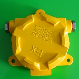 防爆型總線聯(lián)動(dòng)控制器DL -208